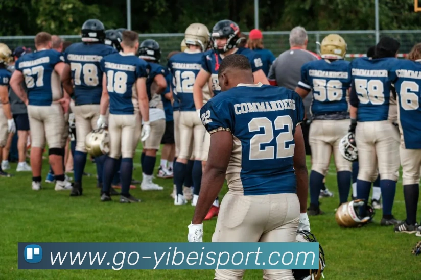 易倍体育APP 封面图